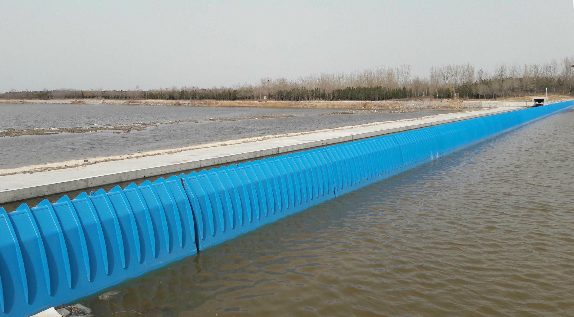 山東龍口 (1)ssss.jpg