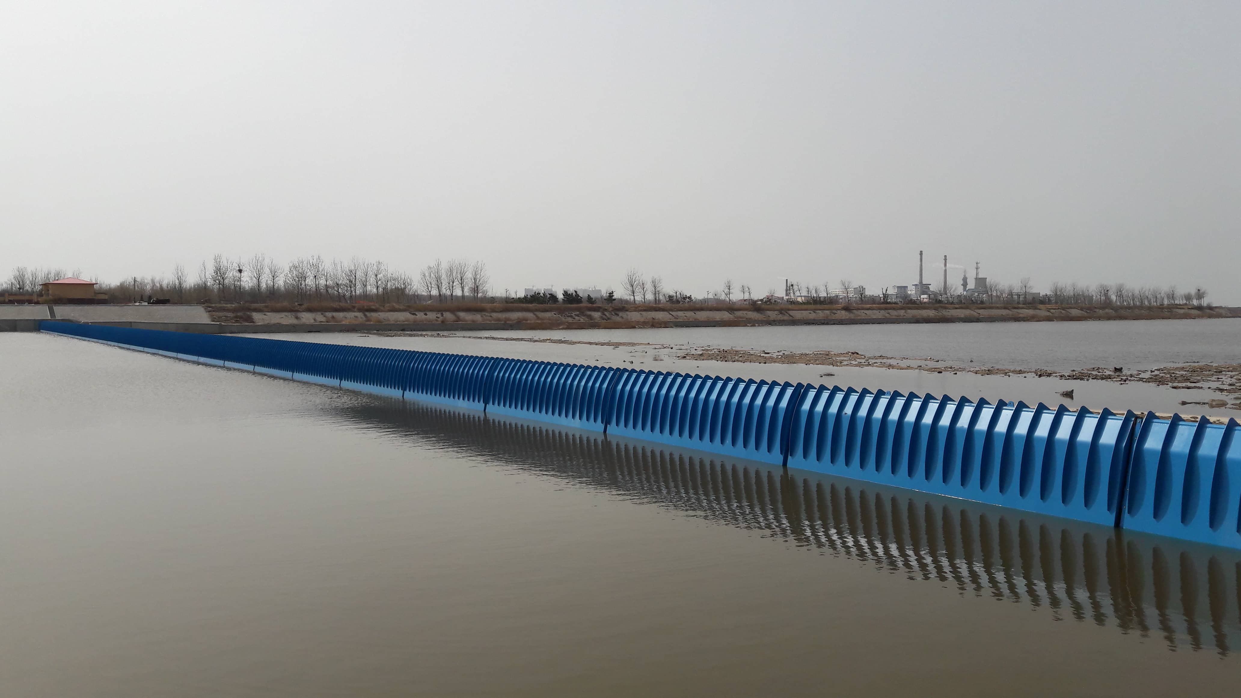 山東龍口 (4).jpg